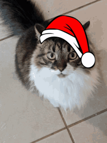 a cat wearing a santa hat is laying on a tiled floor