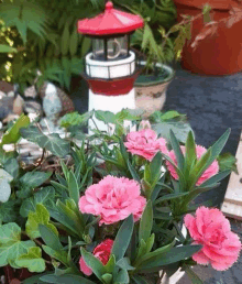 a lighthouse is sitting next to a potted plant with pink flowers and green leaves .