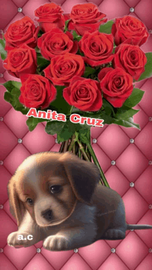 a puppy is laying next to a bouquet of red roses and the name anita cruz is on the bottom