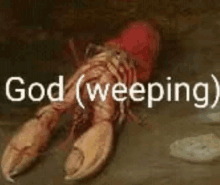 a painting of a lobster with the words `` god ( weeping ) '' above it .