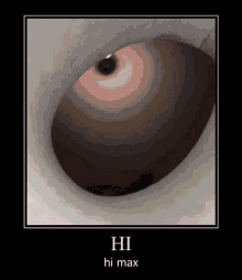 a picture of a person 's eye with the words `` hi hi max '' on it .