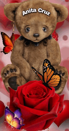 a teddy bear with the name anita cruz written on it