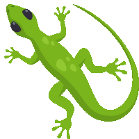 a green lizard with black eyes and a long tail on a white background