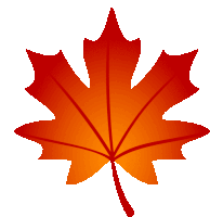 a red maple leaf against a white background