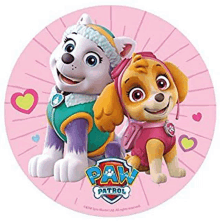 it is a paw patrol cake topper with skye and everest on it .