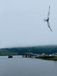 a seagull flies over a body of water on a foggy day