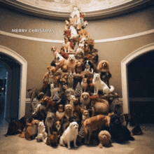 a christmas tree made of dogs and cats with merry christmas written on the bottom