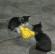 a black and white cat shaking hands with a yellow glove .