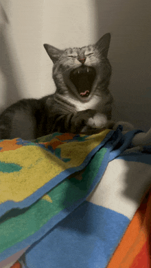 a cat with its mouth open yawning on a colorful blanket