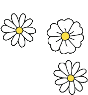 three daisies with a yellow center on a white background .