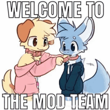 a cartoon of a dog and a fox with the words welcome to the mod team below them .