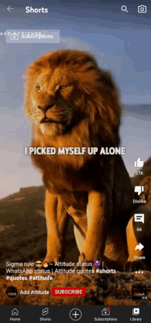 a picture of a lion on a screen that says i picked myself up alone