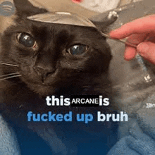 a black cat with a spoon on its head and the words `` this arcane is fucked up bruh '' written on it .