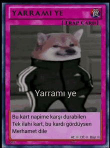 a picture of a dog on a trap card that says yarramiye