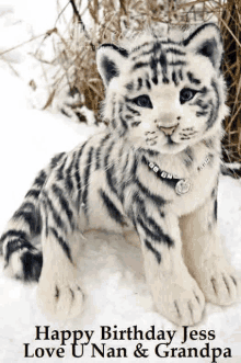 a stuffed white tiger is sitting in the snow with the words happy birthday jess love u nan & grandpa below it