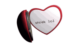 shrek lol is written on a red heart shaped mirror