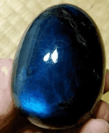 a person is holding a blue egg in their hand .