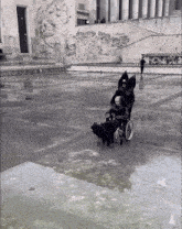 a black and white photo of a man in a wheelchair in front of a building that says ' a ' on it