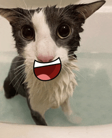 a black and white cat in a bathtub with a cartoon face on it