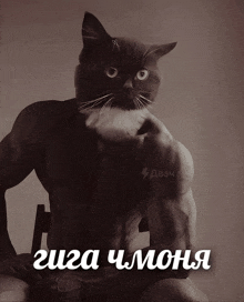 a black and white photo of a cat with a man 's muscles and the word giga on the bottom right