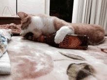 a cat laying on a blanket next to a bottle of pepe lopez rum