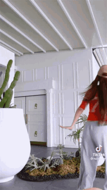 a woman in a red shirt and grey pants is dancing in a living room with a cactus in the background .