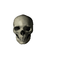 a skull without a mouth is on a white background .