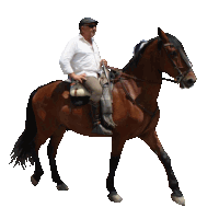 a man riding a brown horse with a white shirt on