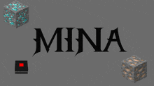 a gray background with the word mina in black letters