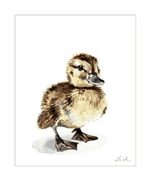 a watercolor painting of a baby duck on a white background .