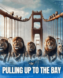 a group of lions running under a bridge with the words pulling up to the bay below them