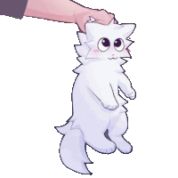 a person is petting a white cat with a purple tail