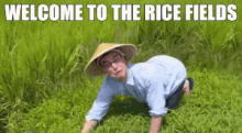 a man wearing a conical hat is kneeling in a rice field with the words welcome to the rice fields above him .