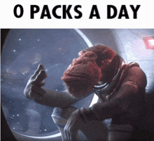 a picture of a monkey with the words o packs a day