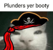 a cat wearing a pirate hat with the words plunders yer booty on the bottom