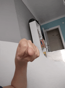 a person 's fist is pointed at the camera in front of a bookshelf