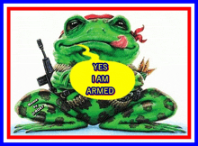 a frog with a gun and a speech bubble that says " yes i am armed "