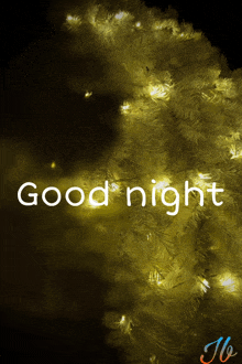 a picture of a christmas tree with the words " good night " on it