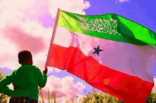 a child is holding a flag in front of a blue sky .