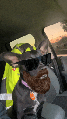 a dog with a beard and sunglasses is in a car