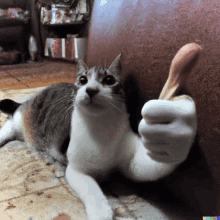 a cat is giving a thumbs up sign with its paw