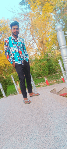 a young man in a colorful shirt and black pants stands in front of a park