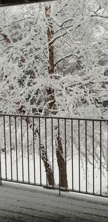 a snowy balcony with trees covered in snow and a railing