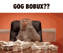 a monkey is sitting at a table with stacks of money and the words gog bobux written above it