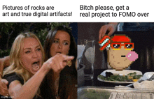 a meme that says pictures of rocks are art and true digital artifacts and bitch please get a real project to fomo over here