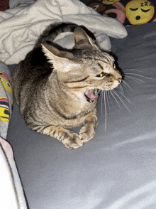 a cat is yawning on a bed with a blanket that says zzz on it