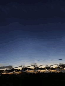 a sunset with trees in the foreground and a dark blue sky