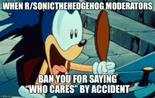 a cartoon of sonic the hedgehog with a caption that says " ban you for saying " who cares " by accident