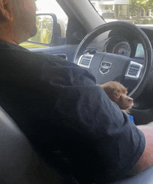 a man is driving a dodge charger with a small dog in the passenger seat