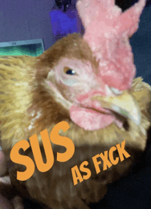 a close up of a chicken with the words sus as fxck on the bottom